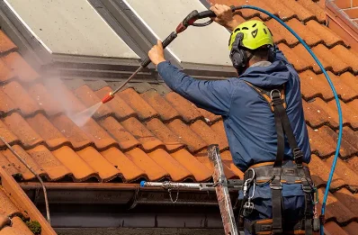 Démoussage et hydrofuge de toiture à Saint-Charles-la-Forêt